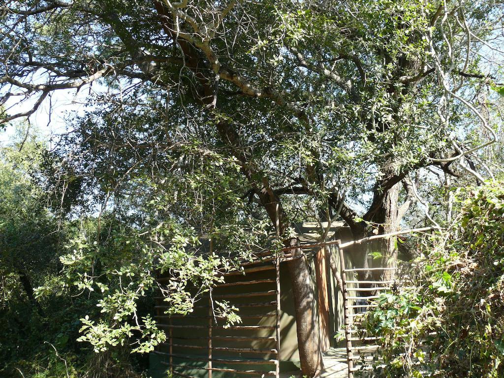 Amanzimlotzi Riverside Bush Camp Hoedspruit Quarto foto